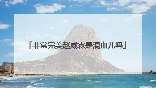 非常完美赵威霖是混血儿吗