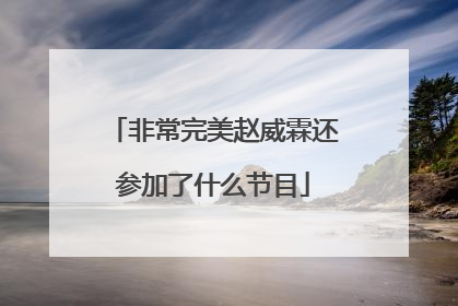 非常完美赵威霖还参加了什么节目