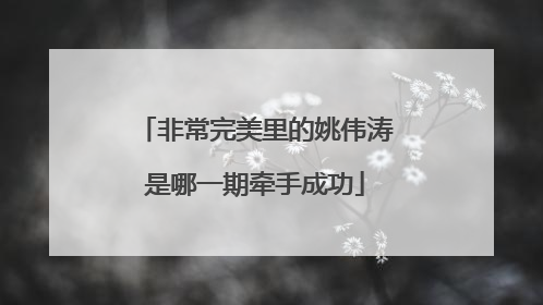 非常完美里的姚伟涛是哪一期牵手成功