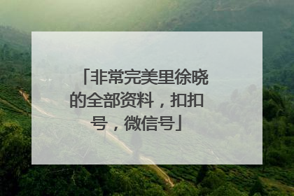 非常完美里徐晓的全部资料，扣扣号，微信号