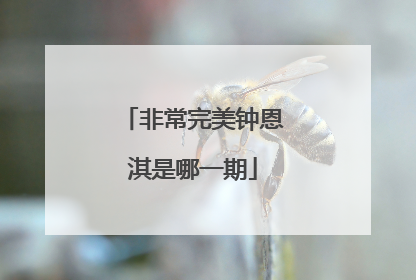 非常完美钟恩淇是哪一期