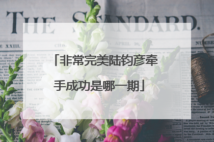 非常完美陆钧彦牵手成功是哪一期