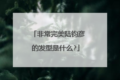 非常完美陆钧彦的发型是什么?