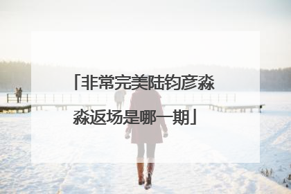 非常完美陆钧彦淼淼返场是哪一期