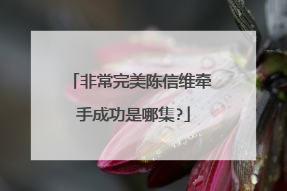 非常完美陈信维牵手成功是哪集?