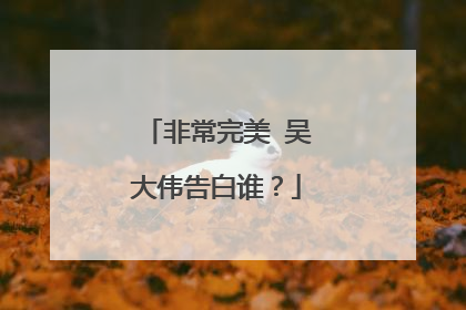 非常完美 吴大伟告白谁?