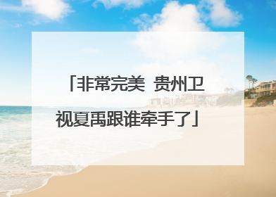 非常完美 贵州卫视夏禹跟谁牵手了