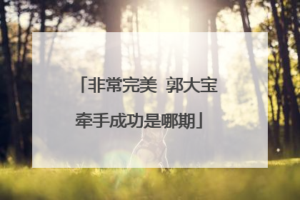非常完美 郭大宝牵手成功是哪期