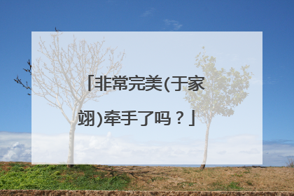 非常完美(于家翊)牵手了吗？