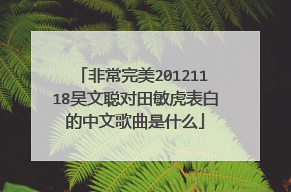 非常完美20121118吴文聪对田敏虎表白的中文歌曲是什么