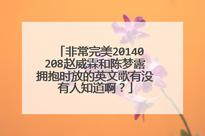 非常完美20140208赵威霖和陈梦露拥抱时放的英文歌有没有人知道啊？