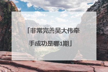 非常完善吴大伟牵手成功是哪1期