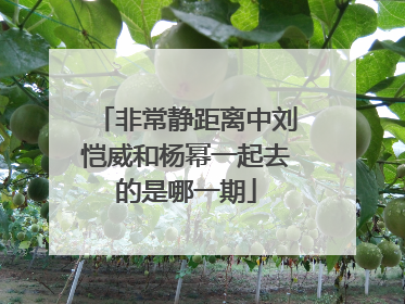 非常静距离中刘恺威和杨幂一起去的是哪一期