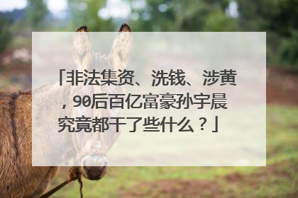 非法集资、洗钱、涉黄，90后百亿富豪孙宇晨究竟都干了些什么？