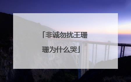 非诚勿扰王珊珊为什么哭