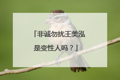 非诚勿扰王美泓是变性人吗?