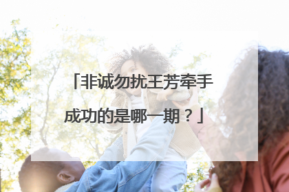 非诚勿扰王芳牵手成功的是哪一期?