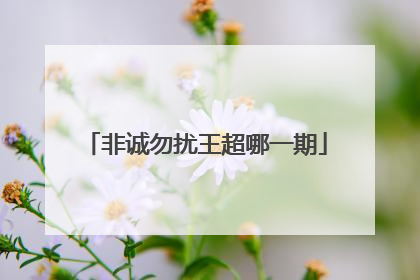 非诚勿扰王超哪一期