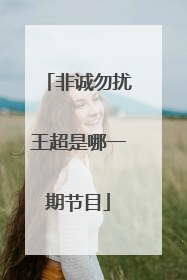 非诚勿扰王超是哪一期节目