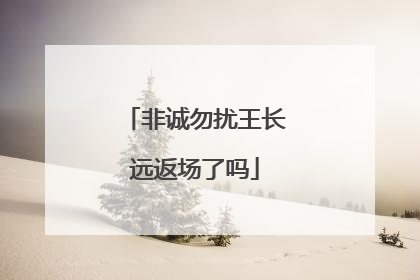 非诚勿扰王长远返场了吗