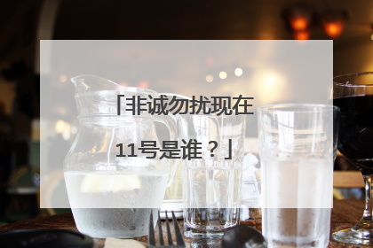 非诚勿扰现在11号是谁？