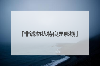 非诚勿扰特良是哪期