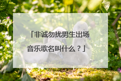 非诚勿扰男生出场音乐歌名叫什么?