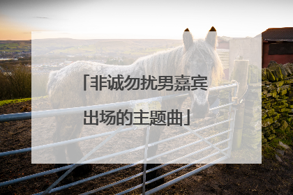 非诚勿扰男嘉宾出场的主题曲