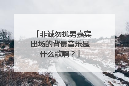 非诚勿扰男嘉宾出场的背景音乐是什么歌啊？