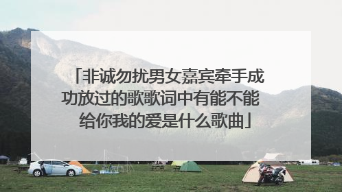 非诚勿扰男女嘉宾牵手成功放过的歌歌词中有能不能 给你我的爱是什么歌曲