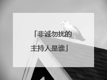 非诚勿扰的主持人是谁