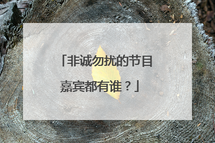 非诚勿扰的节目嘉宾都有谁?