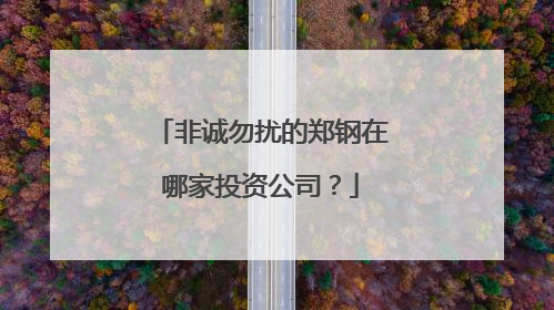 非诚勿扰的郑钢在哪家投资公司?