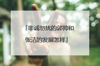 非诚勿扰的郭帅和张洁的发展怎样