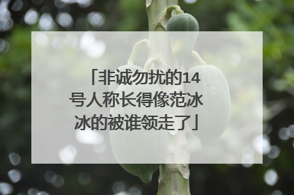 非诚勿扰的14号人称长得像范冰冰的被谁领走了
