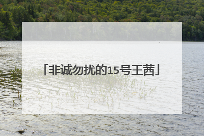 非诚勿扰的15号王茜