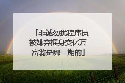 非诚勿扰程序员被嫌弃摇身变亿万富翁是哪一期的