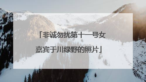 非诚勿扰第十一号女嘉宾于川绿野的照片