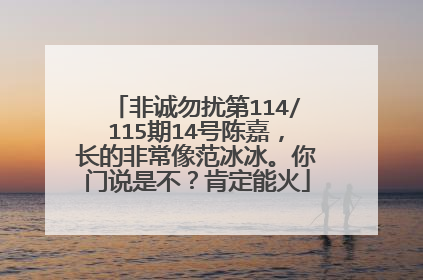 非诚勿扰第114/115期14号陈嘉,长的非常像范冰冰。你门说是不?肯定能火
