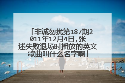 非诚勿扰第187期2011年12月4日,张述失败退场时播放的英文歌曲叫什么名字啊