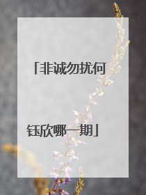 非诚勿扰何钰欣哪一期