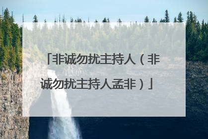 非诚勿扰主持人（非诚勿扰主持人孟非）
