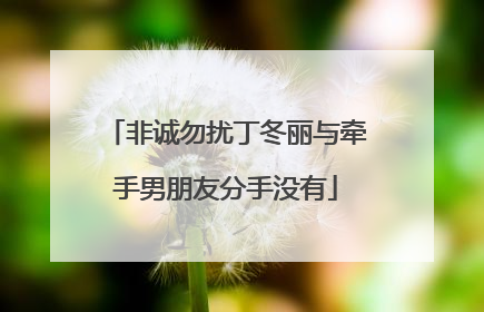 非诚勿扰丁冬丽与牵手男朋友分手没有