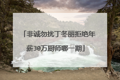 非诚勿扰丁冬丽拒绝年薪30万厨师哪一期