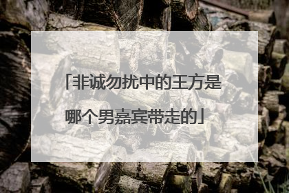 非诚勿扰中的王方是哪个男嘉宾带走的