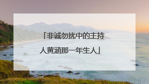 非诚勿扰中的主持人黄涵那一年生人