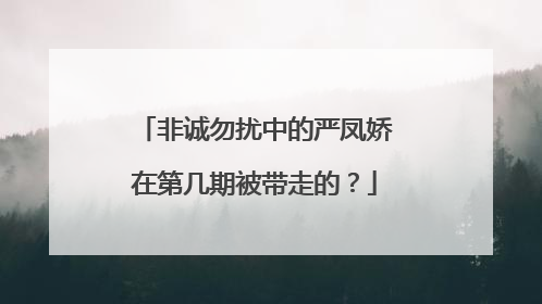 非诚勿扰中的严凤娇在第几期被带走的？
