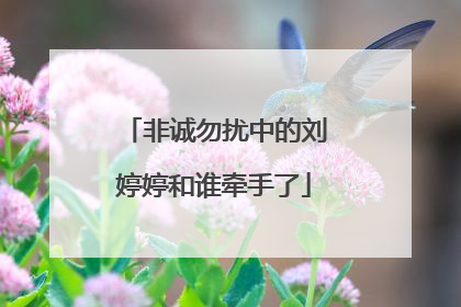 非诚勿扰中的刘婷婷和谁牵手了