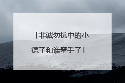 非诚勿扰中的小德子和谁牵手了