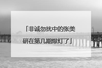 非诚勿扰中的张美研在第几期爆灯了